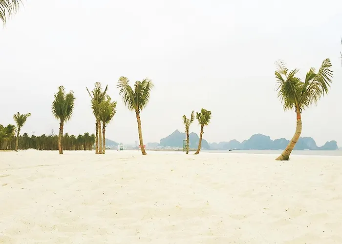 The Bay - Homestay